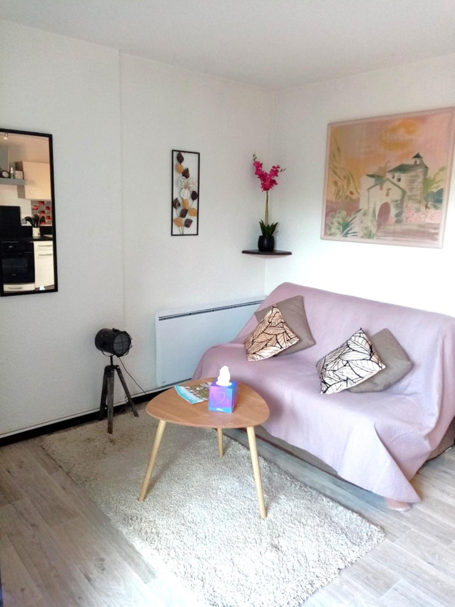 Cabourg Agreable T2 Residence Calme - Terrasse 20M2 - Animaux Bienvenus Bagian luar foto